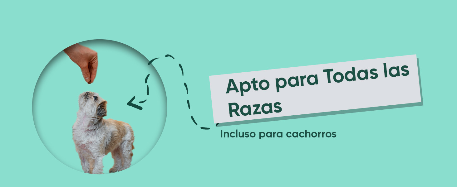 Apto para todas las razas, incluso cachorros