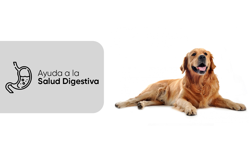 Probióticos digestivos para perros