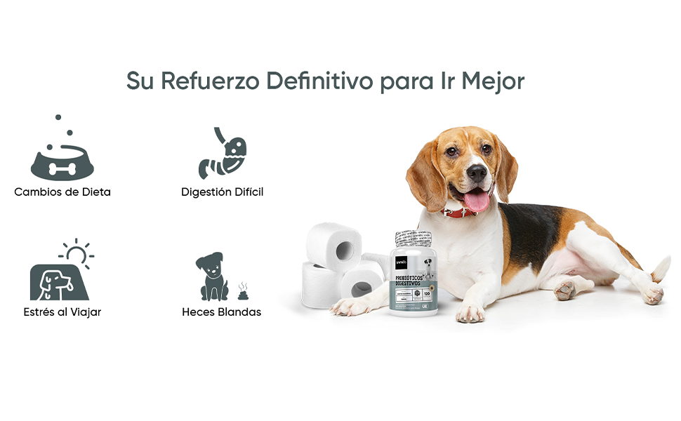 Suplemento para salud gastrointestinal en perros