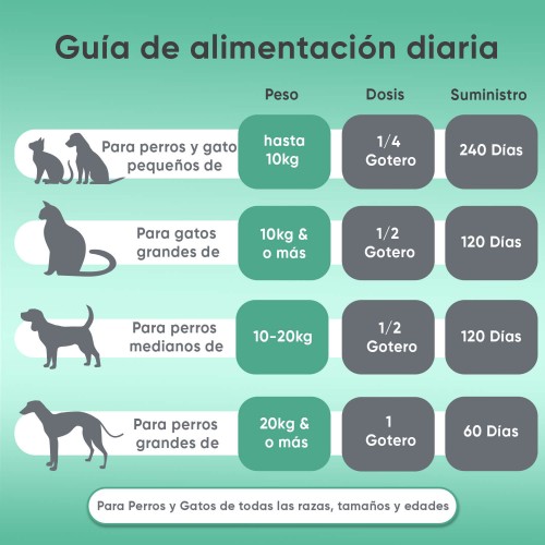 Aceite de pescado para perros - Dosis y beneficios