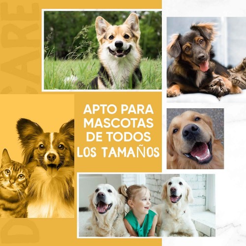 Cuidado bucal, cuidado personal, cuidado del hogar, nutrición para mascotas