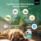 Ingredientes del calmante para perros