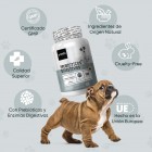 Prebióticos y probióticos para perros con enzimas digestivas