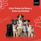 Polvo para pulgas y garrapatas para todos los perros y gatos