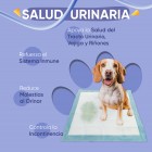 Beneficios de las cápsulas de Apoyo Urinario