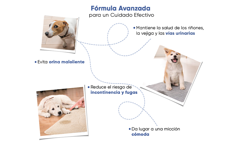 Beneficios de Apoyo Urinario para perros